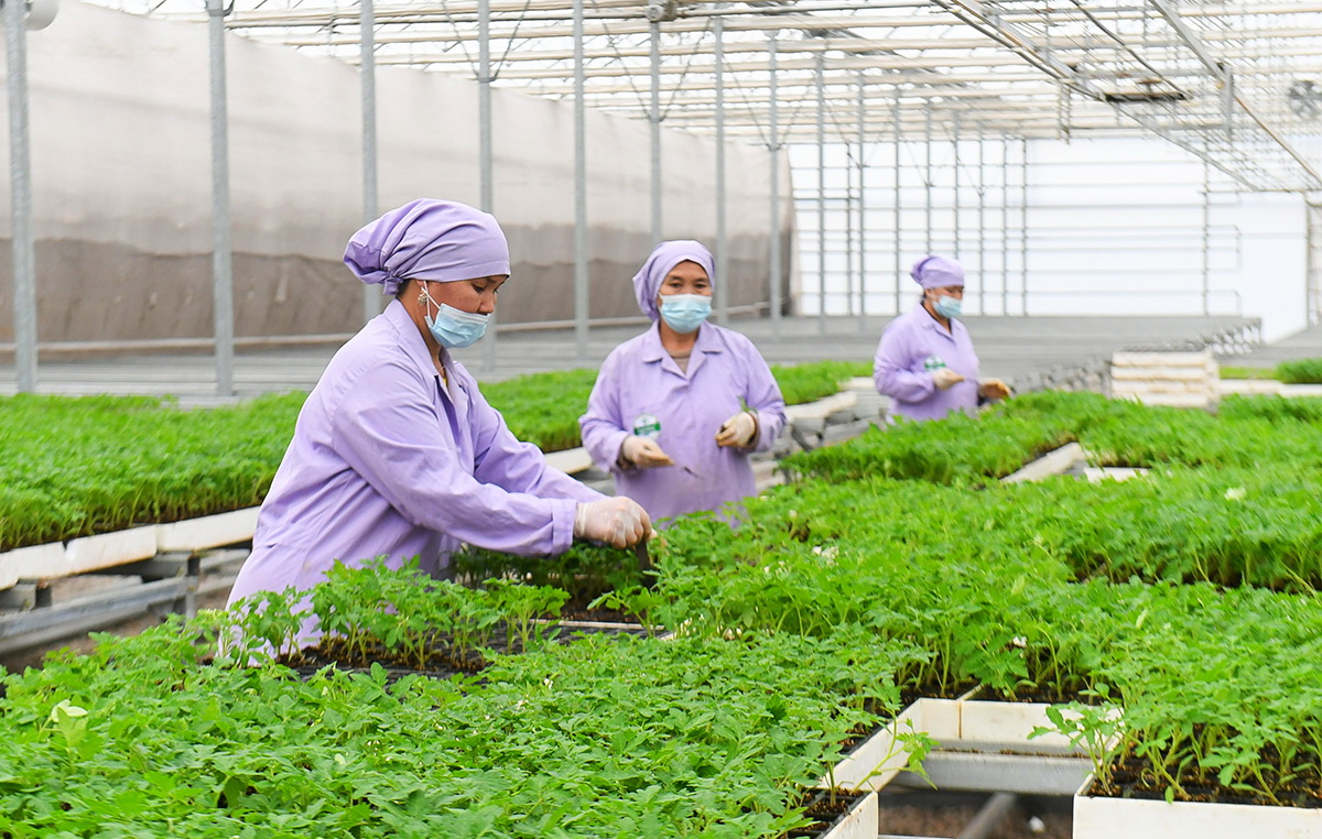 Azyq-túlik qaýipsizdigi – basty nazarda