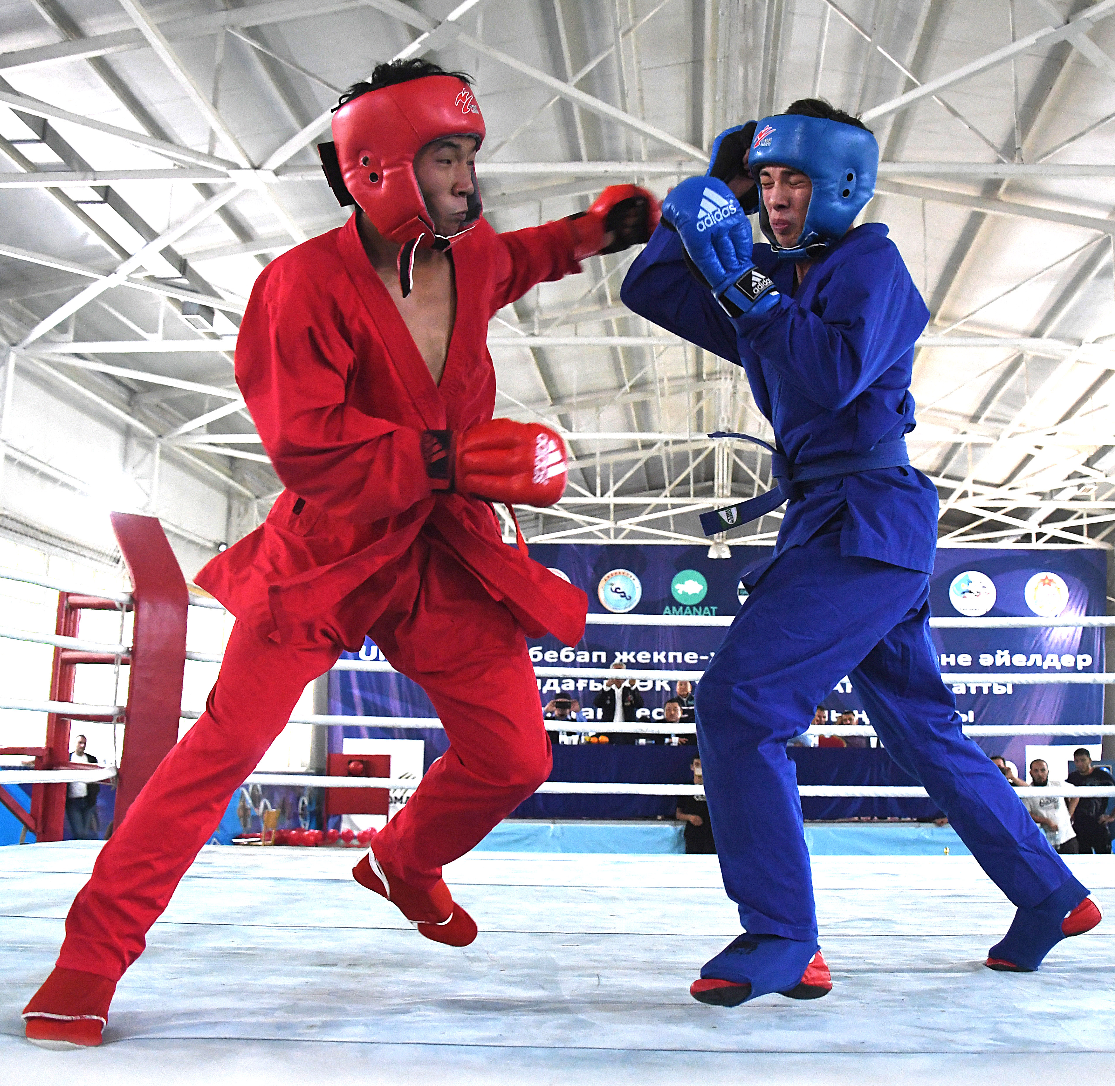 Kók Túrik tarlandary