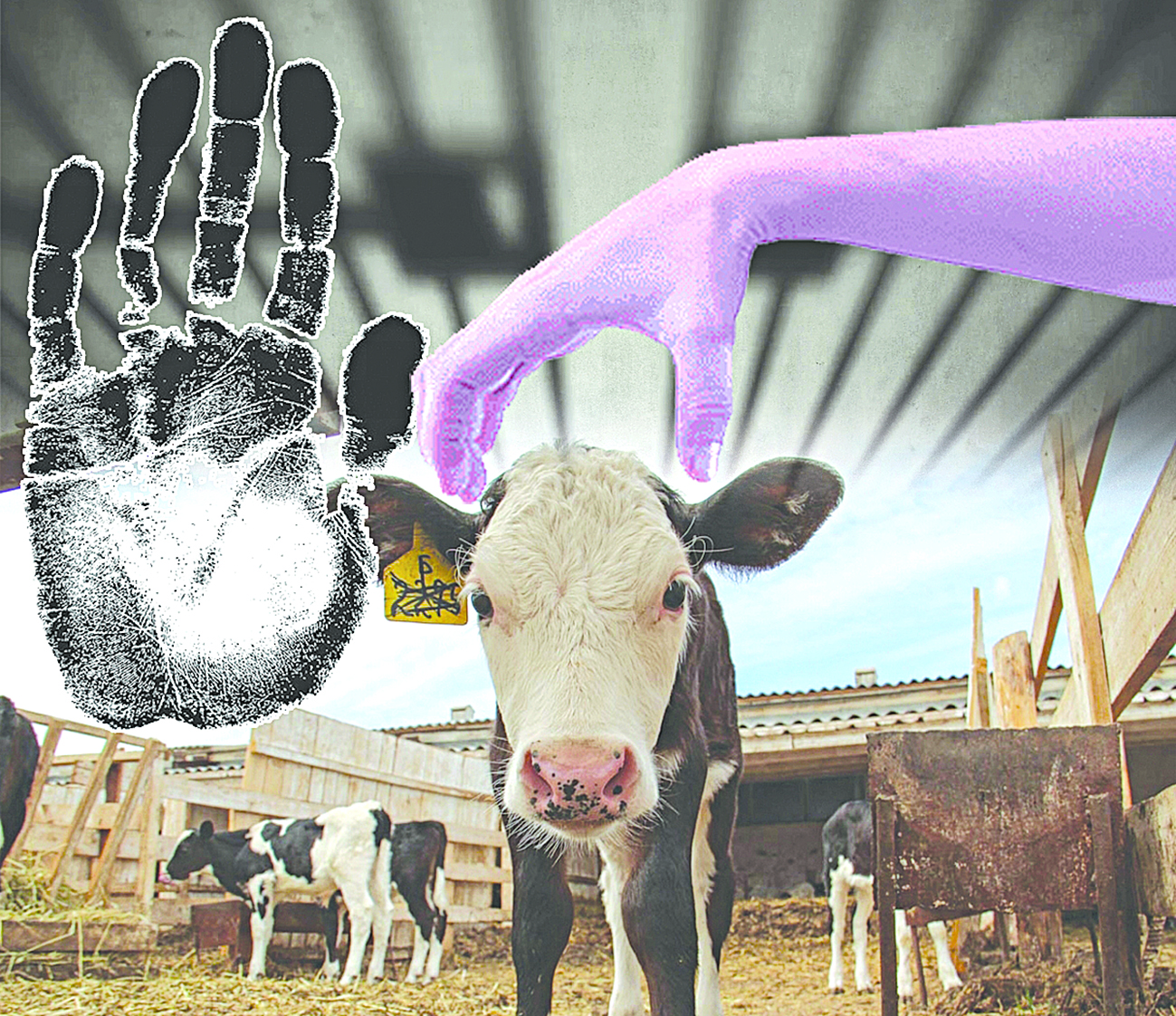 Baqtashy joq, urynyń qarny toq