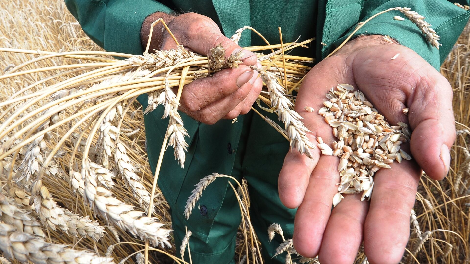 Yryzdyq jolyndaǵy yntymaq