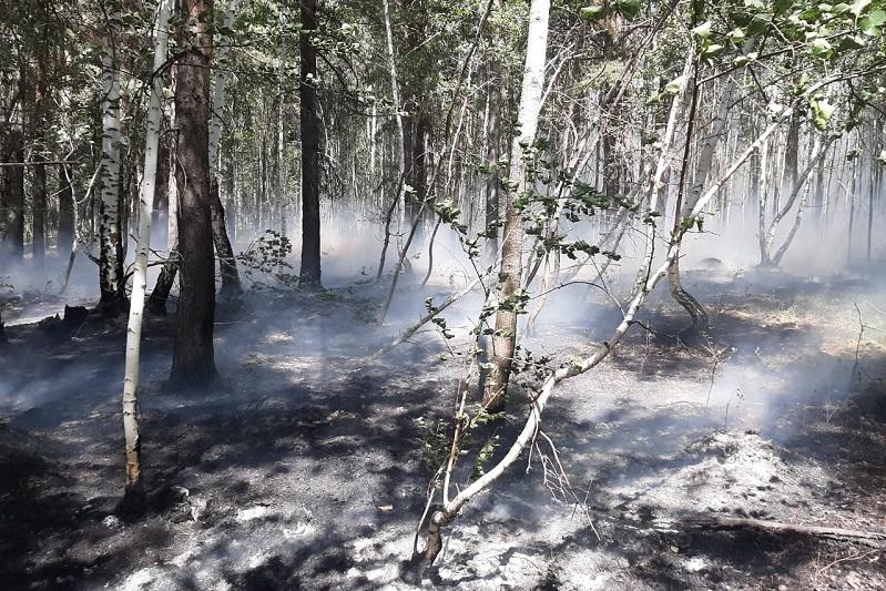 Adamdar abaı bolsa eken...