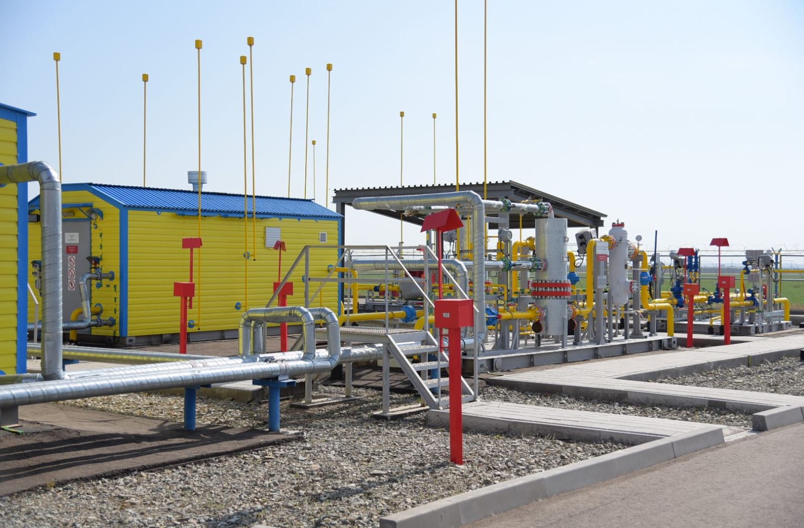 Arshalyǵa kógildir otyn keldi