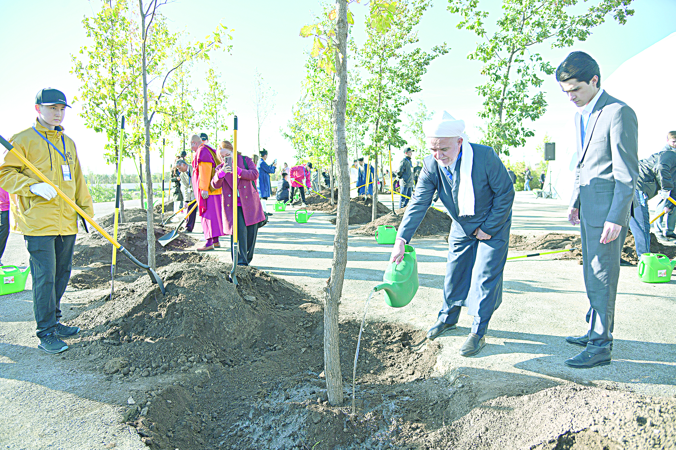 Aǵash egý – saýapty is