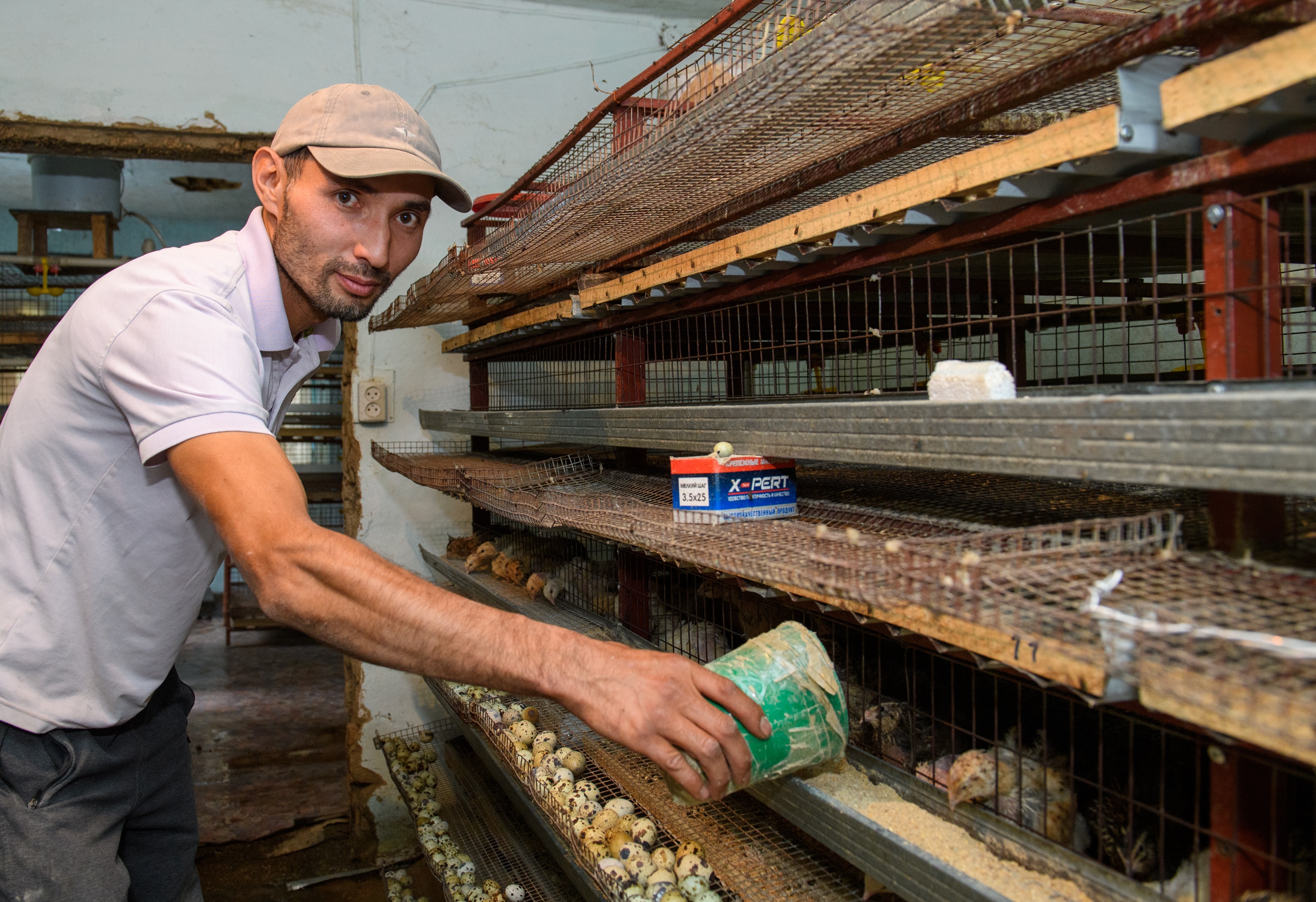 Bódenemen sharýasyn dóńgeletken