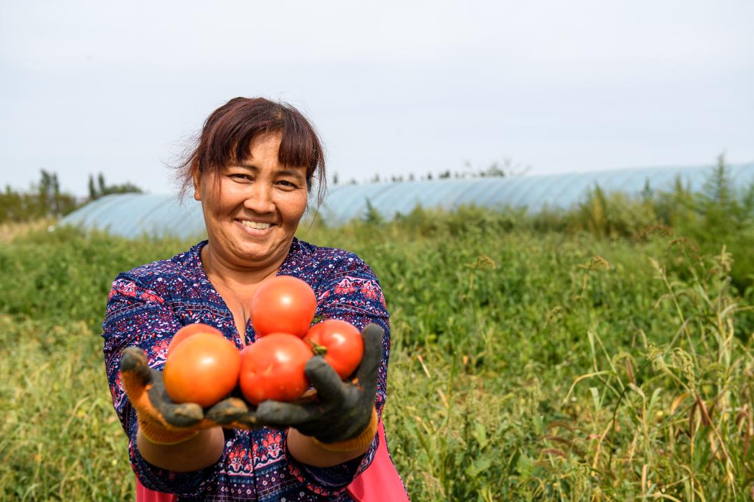 Kókónispen kórkeıgen kásipker