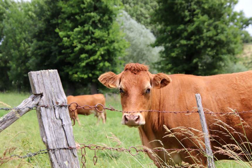 Jaıylym tapshylyǵy: Zań aldynda bári teń