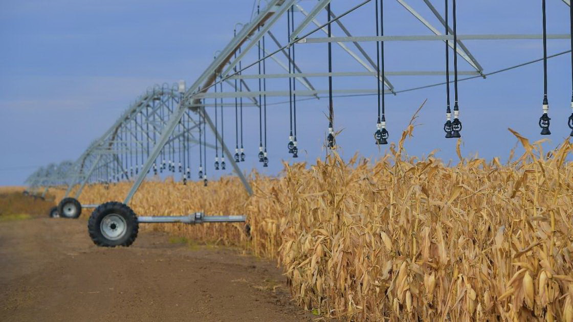 Kúnbaǵystyń kúni týdy