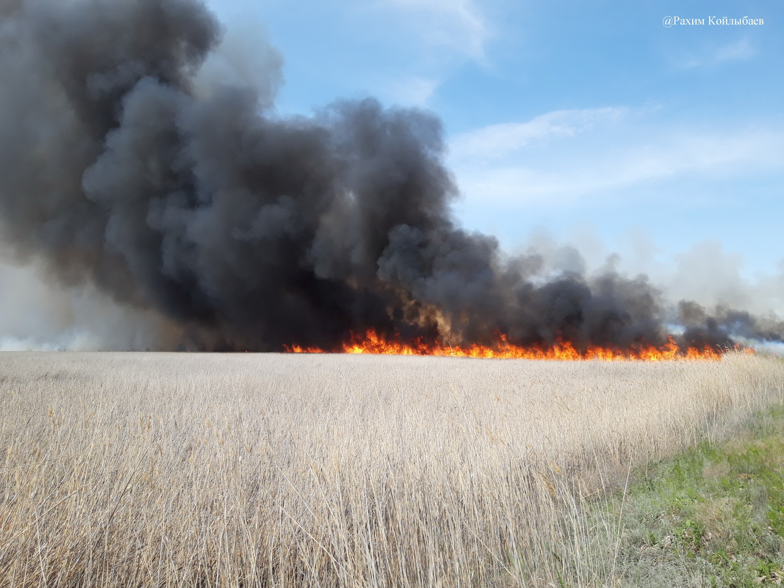 Tabıǵatqa jasalǵan taǵylyq