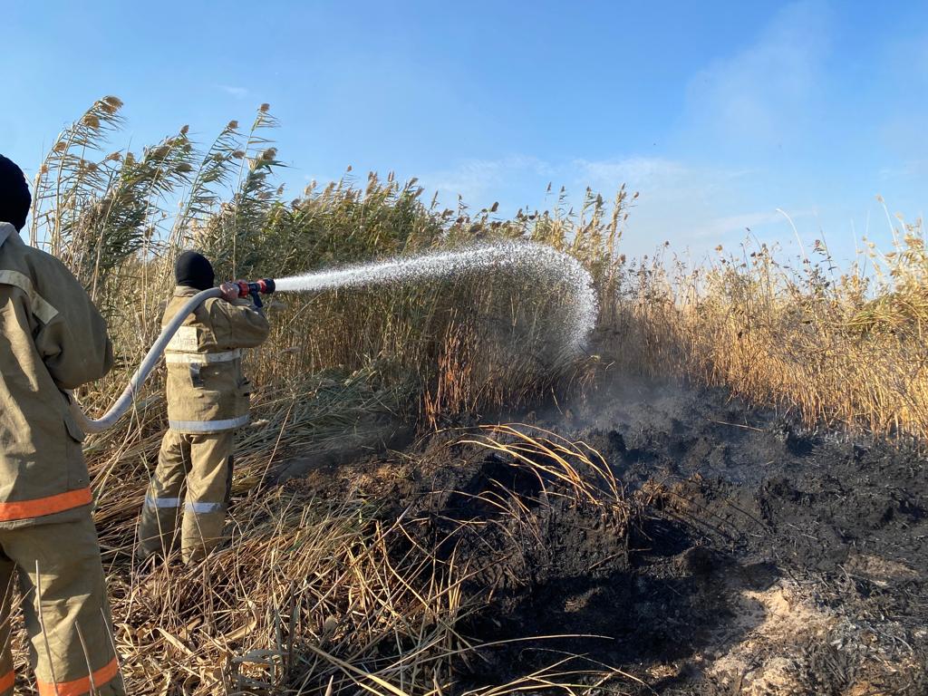 Kaspıı jaǵalaýyndaǵy qamys órtine tikushaqpen 33 márte sý shashyldy