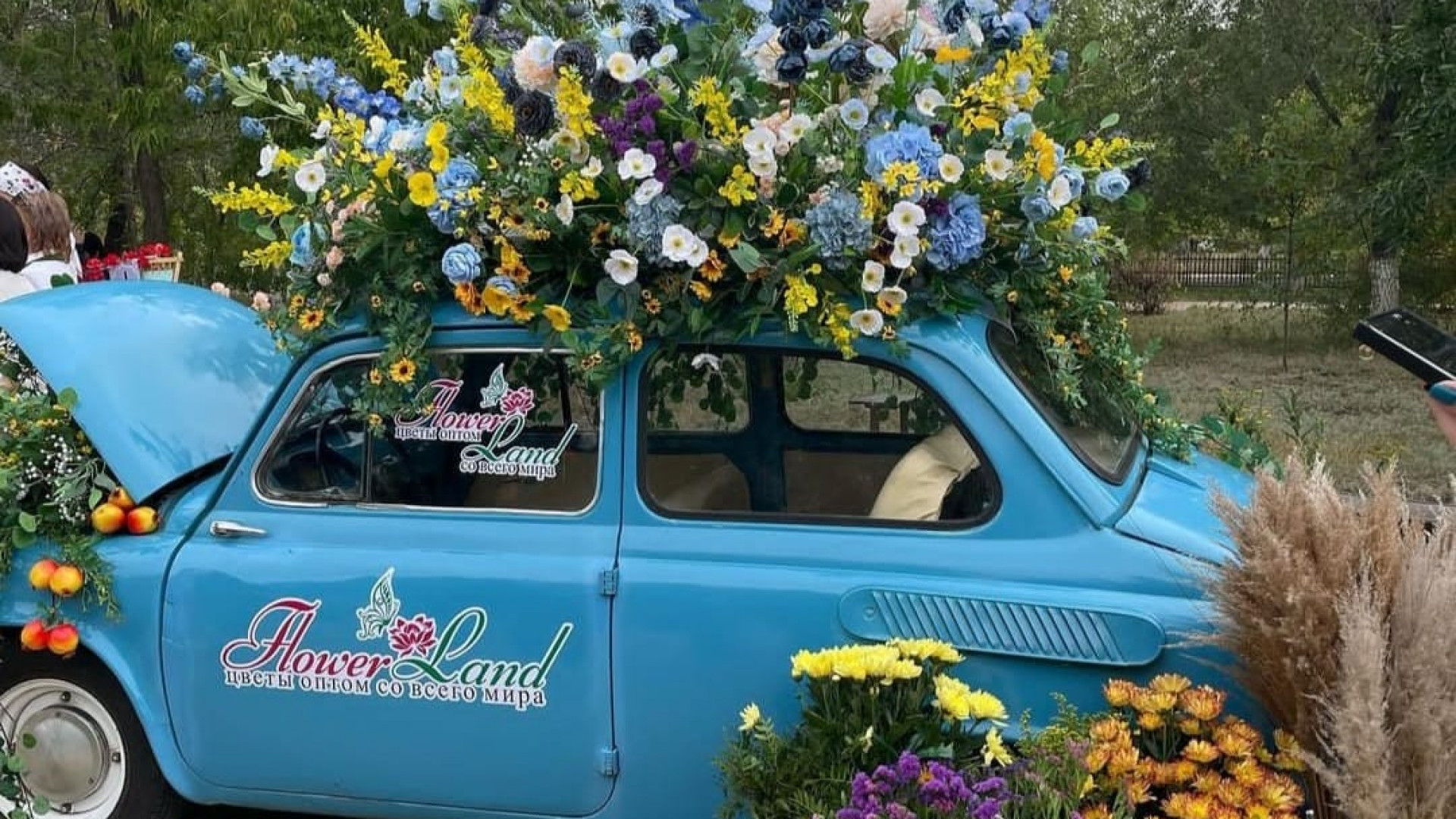 Jupar shashqan alýan gúl