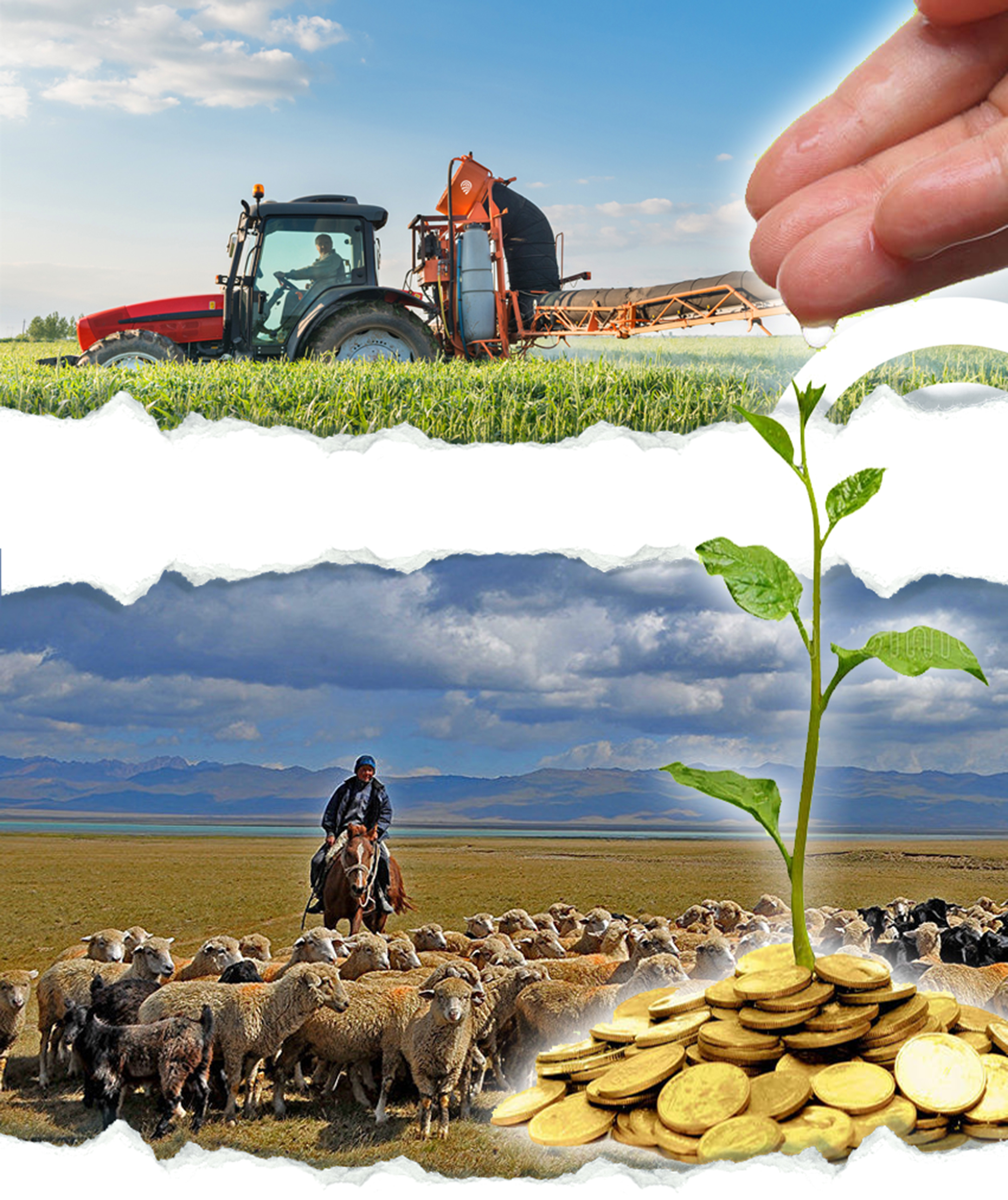 Qaryna quryq iler kisi tappaı...