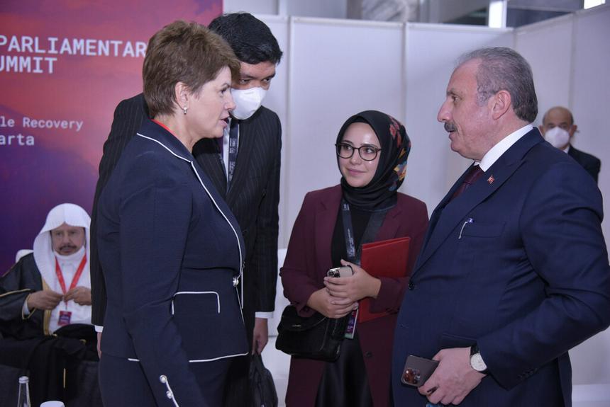 VIII sammıtke qatysty