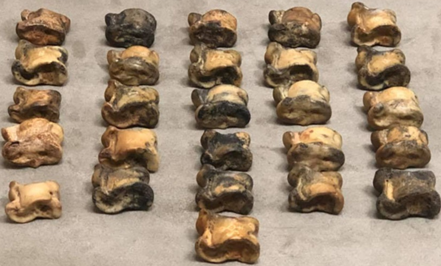 Ǵundar murasy – tańbaly asyq