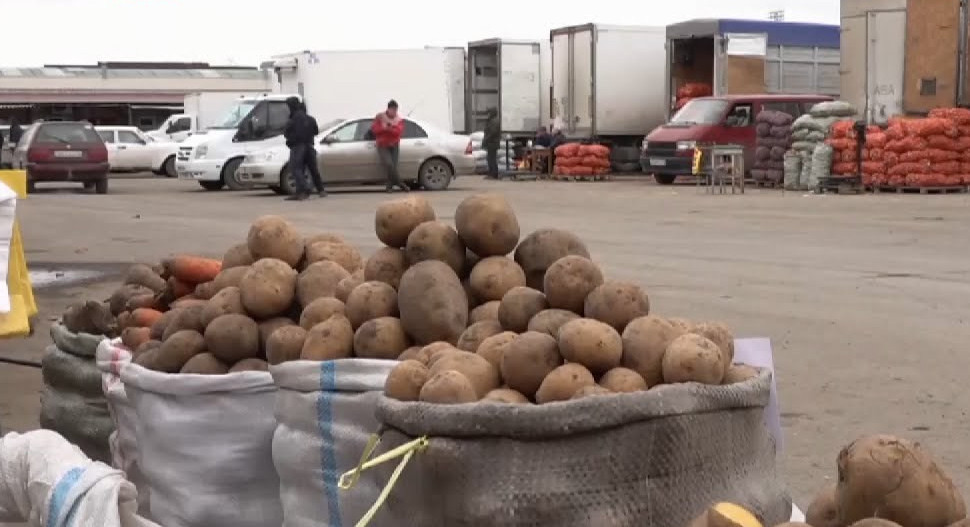 Qordyń moldyǵy – halyqtyń toqtyǵy