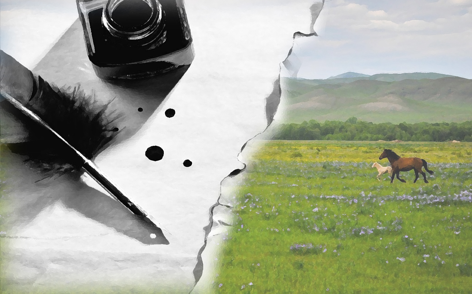 «Dermene»: qusa hám qus balasy...