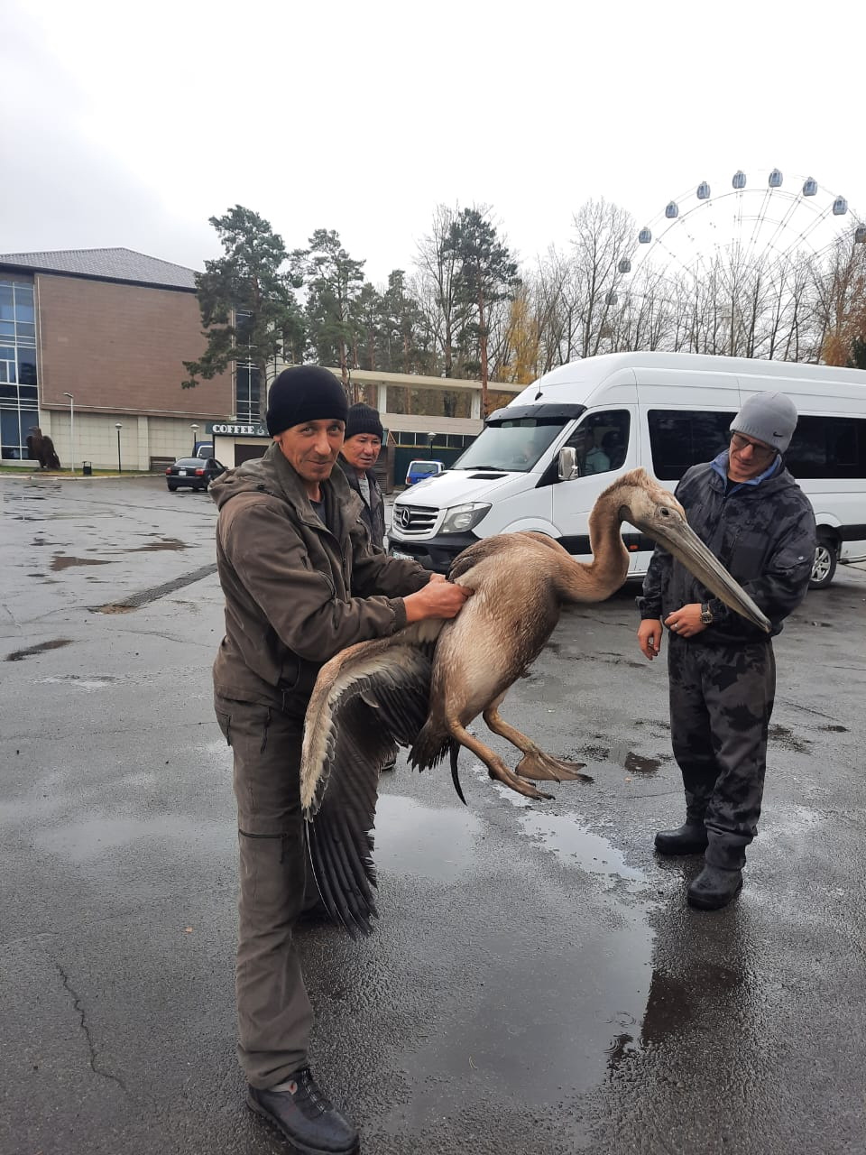 Býrabaıdaǵy birqazan