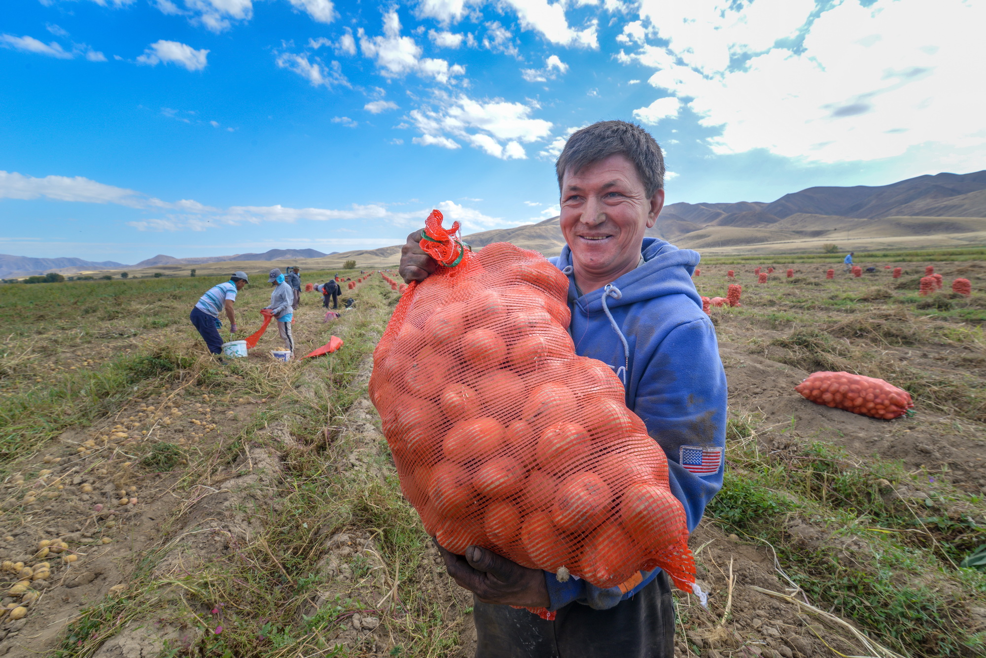 Kóksýdyń kókónisteri