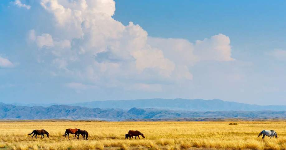 Kórgeni jaqsy kósh bastaıdy