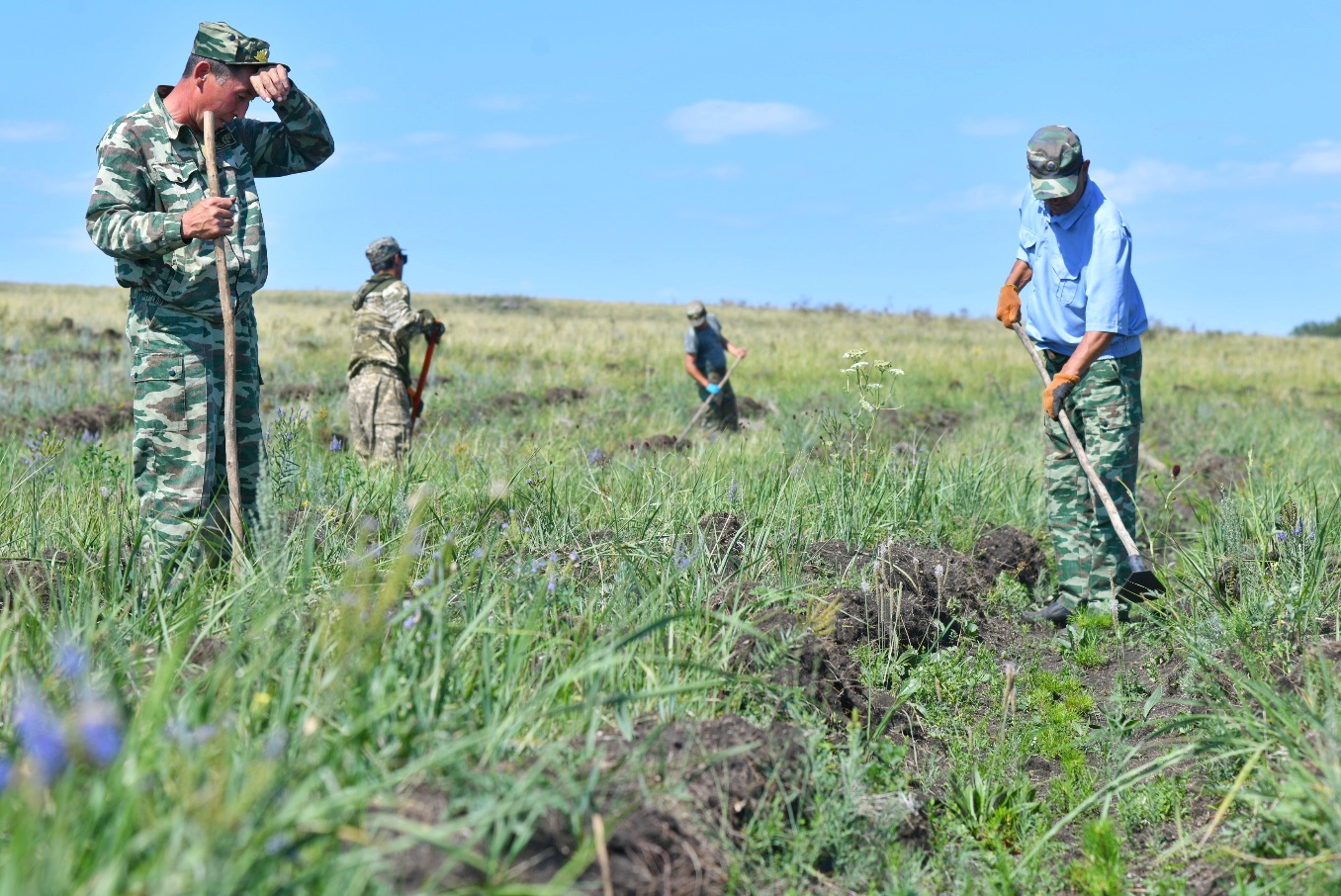 Jasyl ormanymyz jaıqalsyn desek...