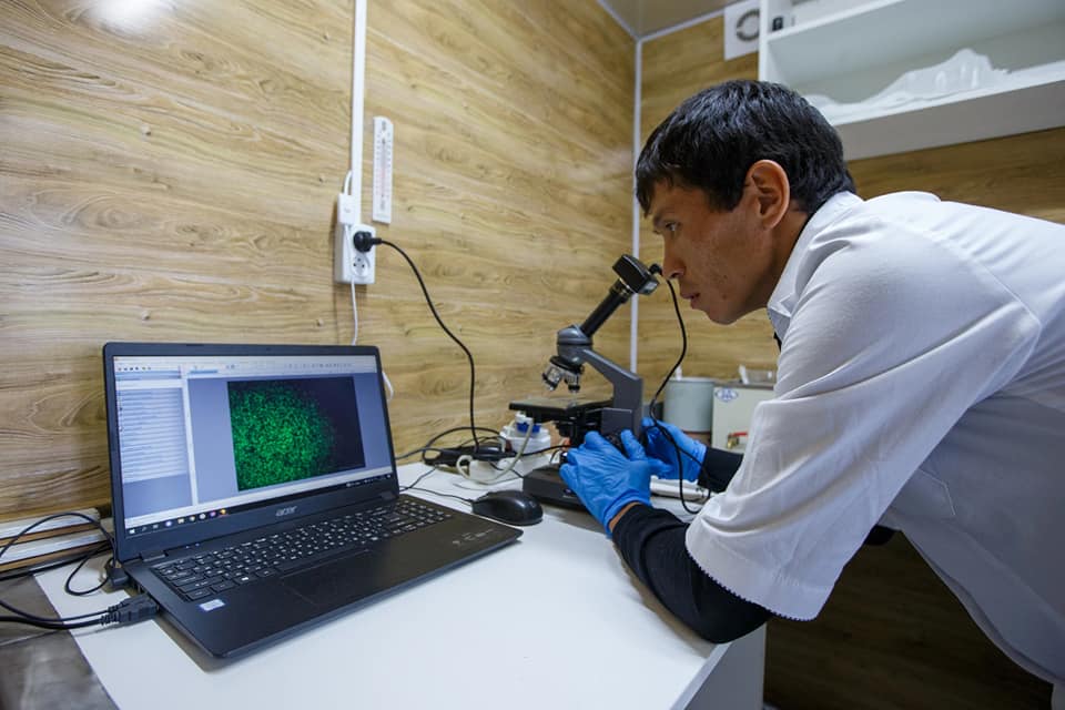 О́nerkásip órisi