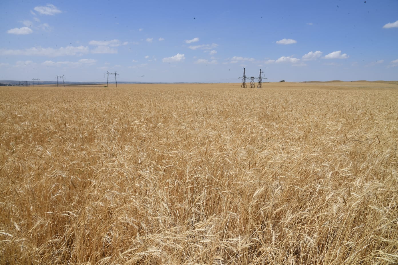 Jerge qoly jetken jurt...