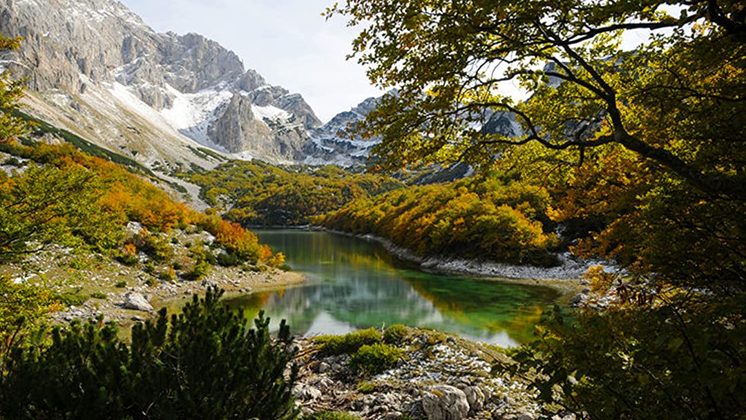 Balqan túbegimen de baılanysymyz myqty