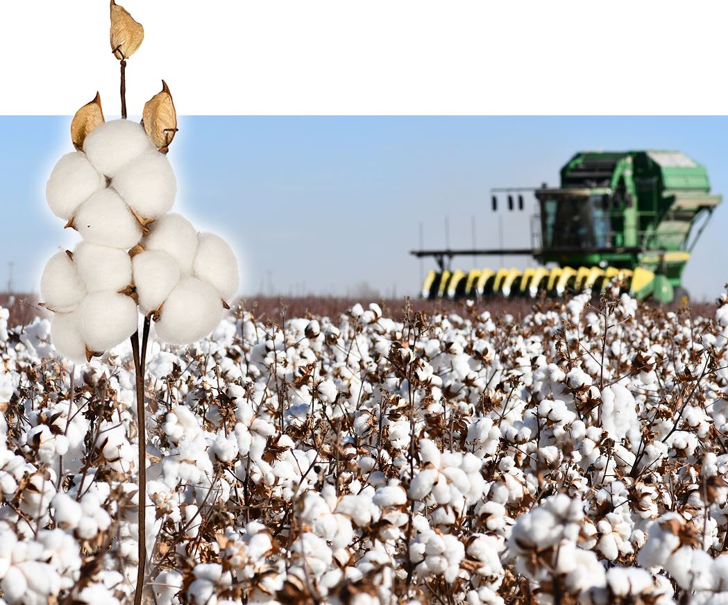 Toqyma ónerkásibi toqyraýdan qashan shyǵady?