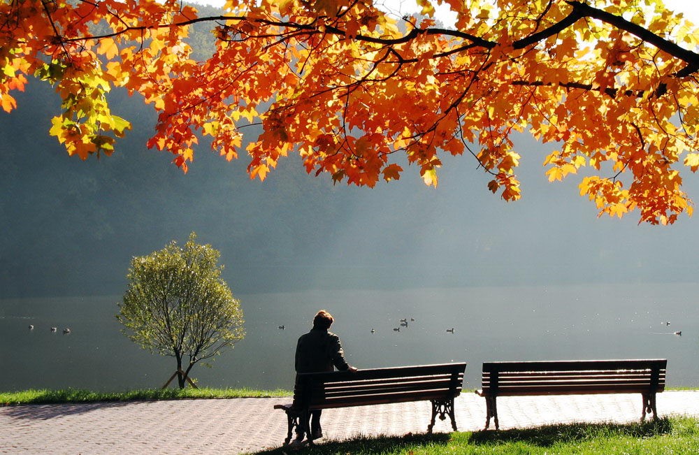 «Qalǵyp ketpe, qazaqy qaǵanatym!»