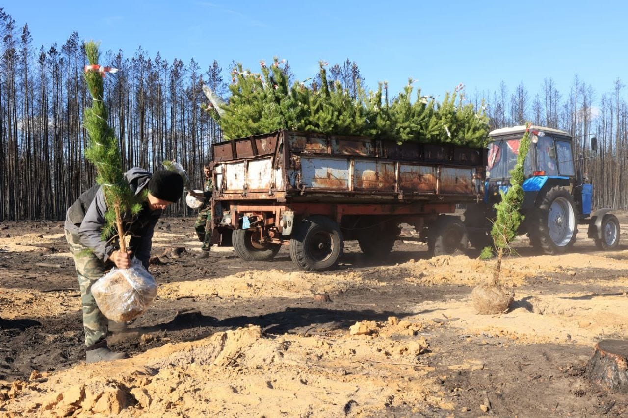 О́rteńnen – aǵash alqabyna