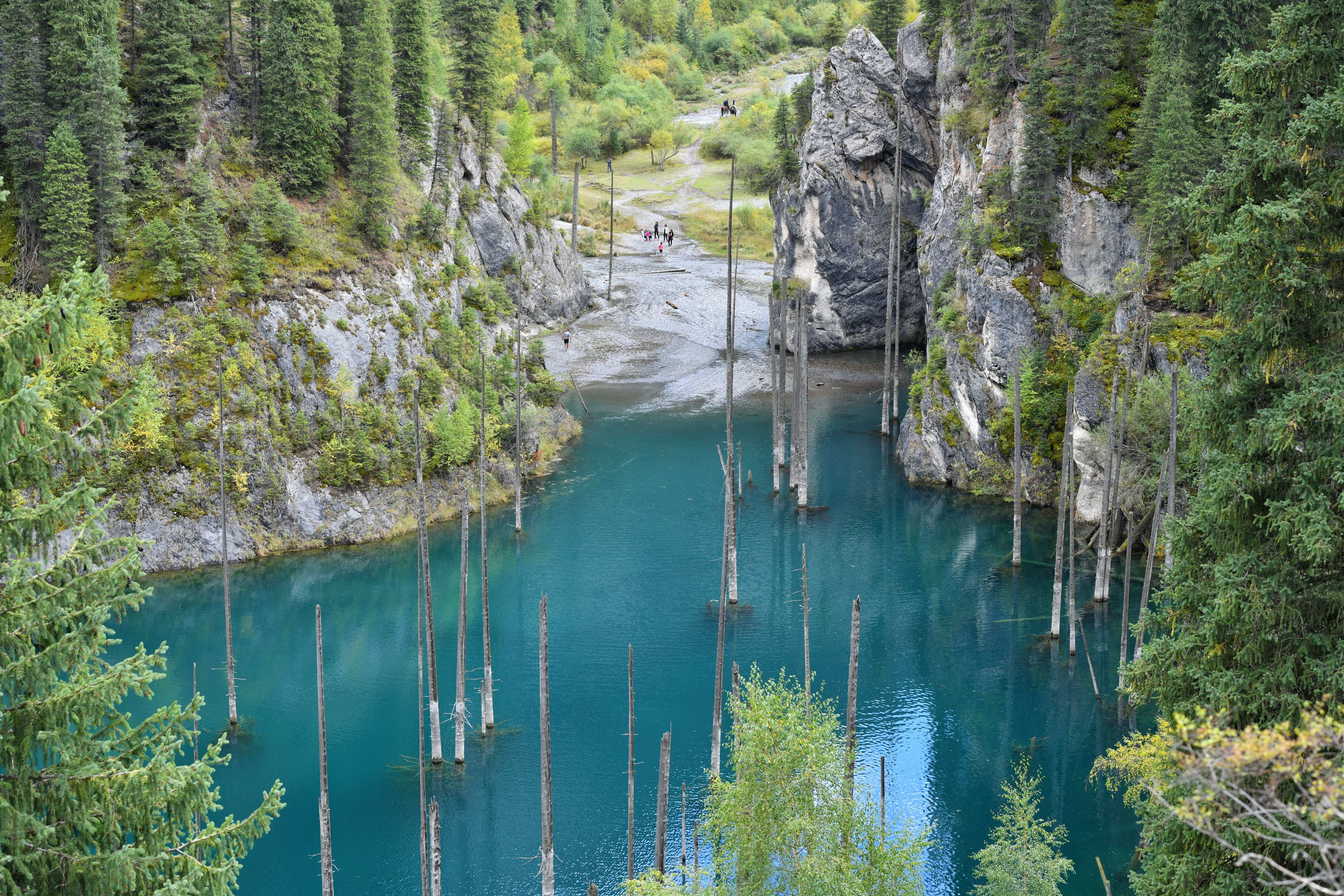 «Jibekti túte almaǵan jún etedi» degen syn týrızm salasyndaǵy ahýalǵa aıtylǵandaı...