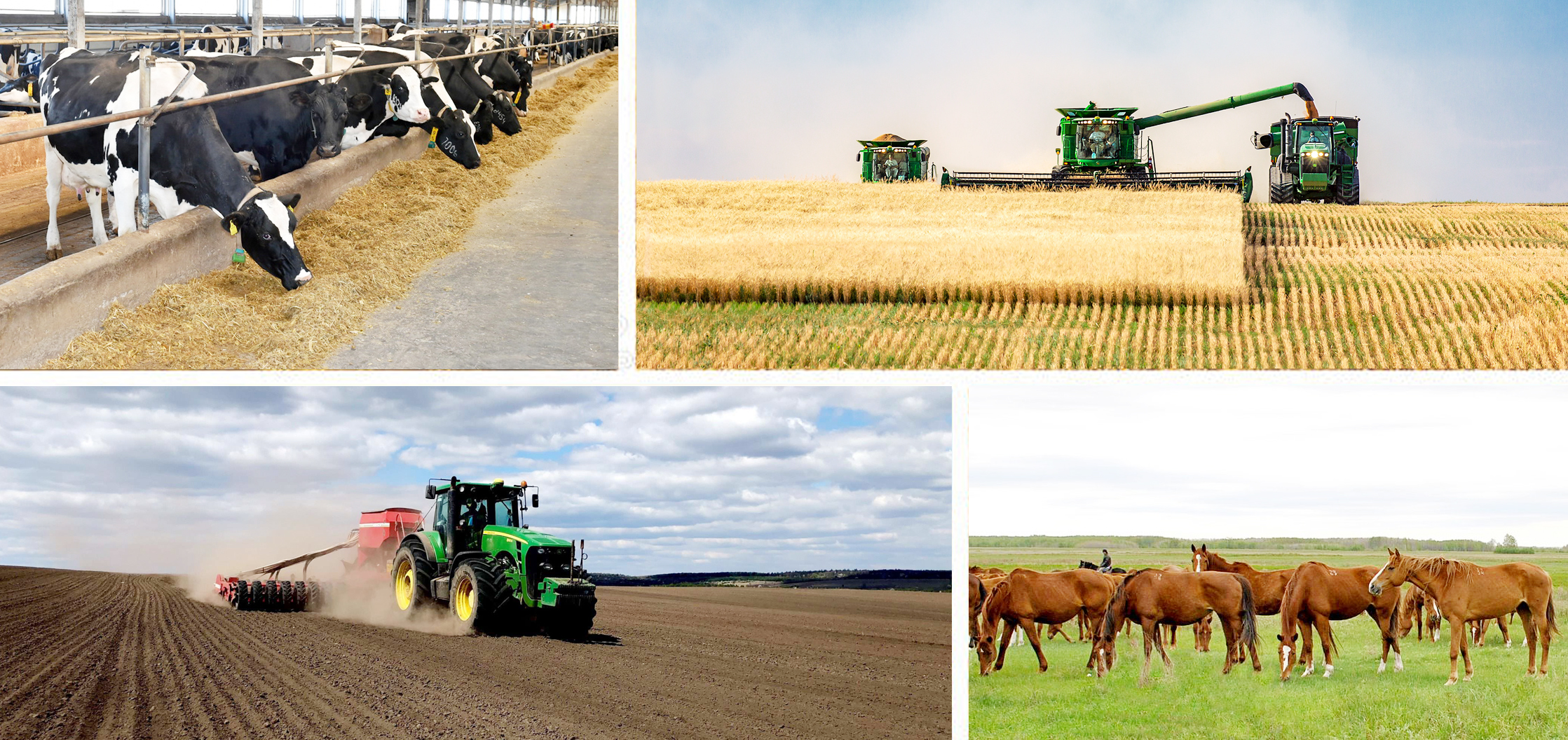 Soltústik sharýalary baǵyndyrǵan beles