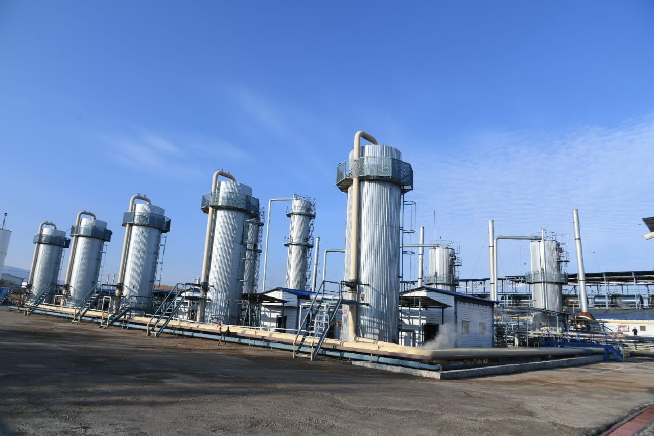 Zaýytta bıtým óndirile bastady