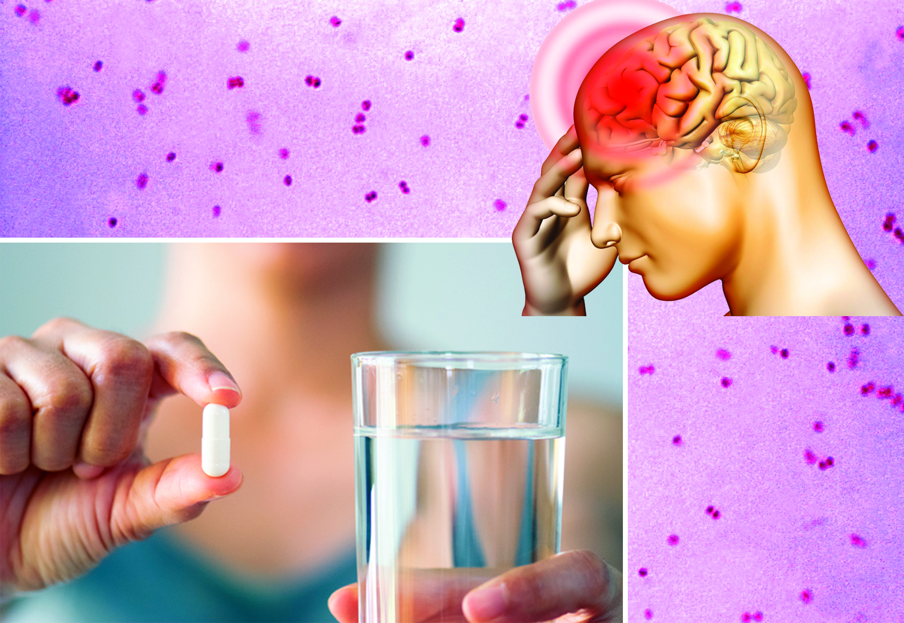 Menıngıtti emdeý múmkin be?