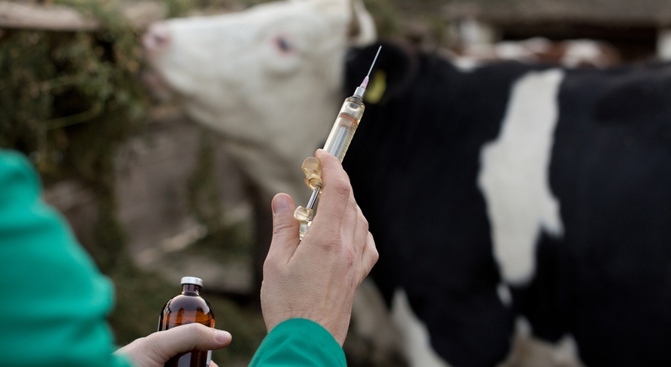 Respýblıkalyq kásibı doda