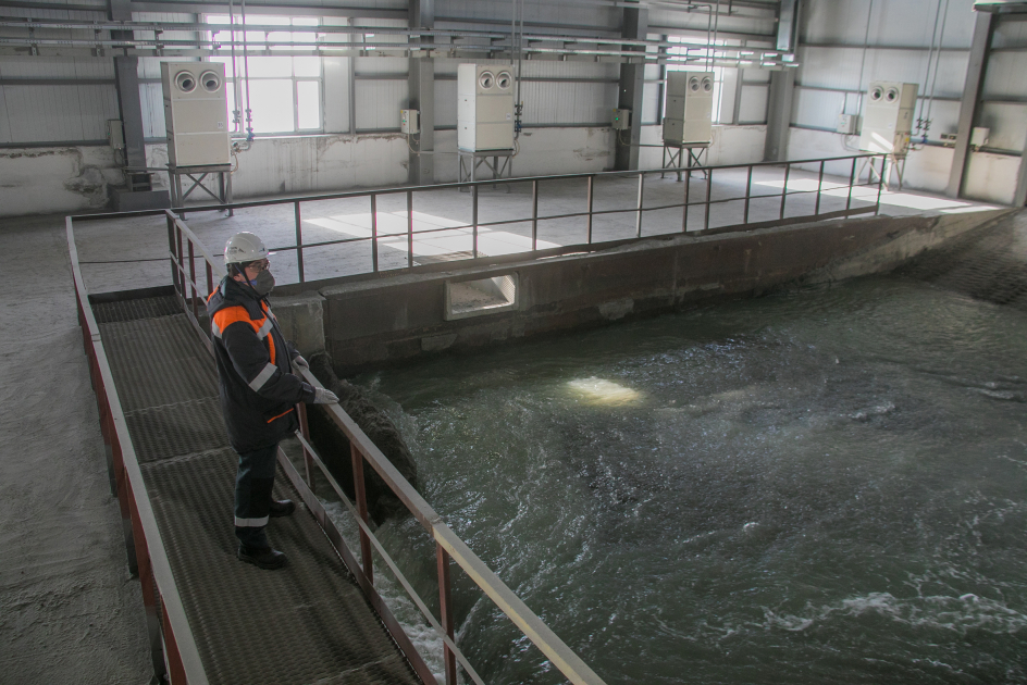 Tundyrý kesheniniń qýaty artty