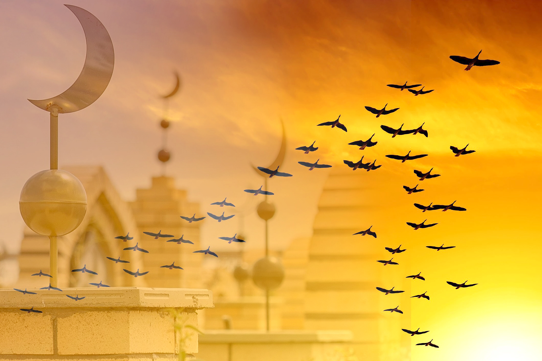 «Kóz qyryńdy salyp qoı qorymdarǵa...»