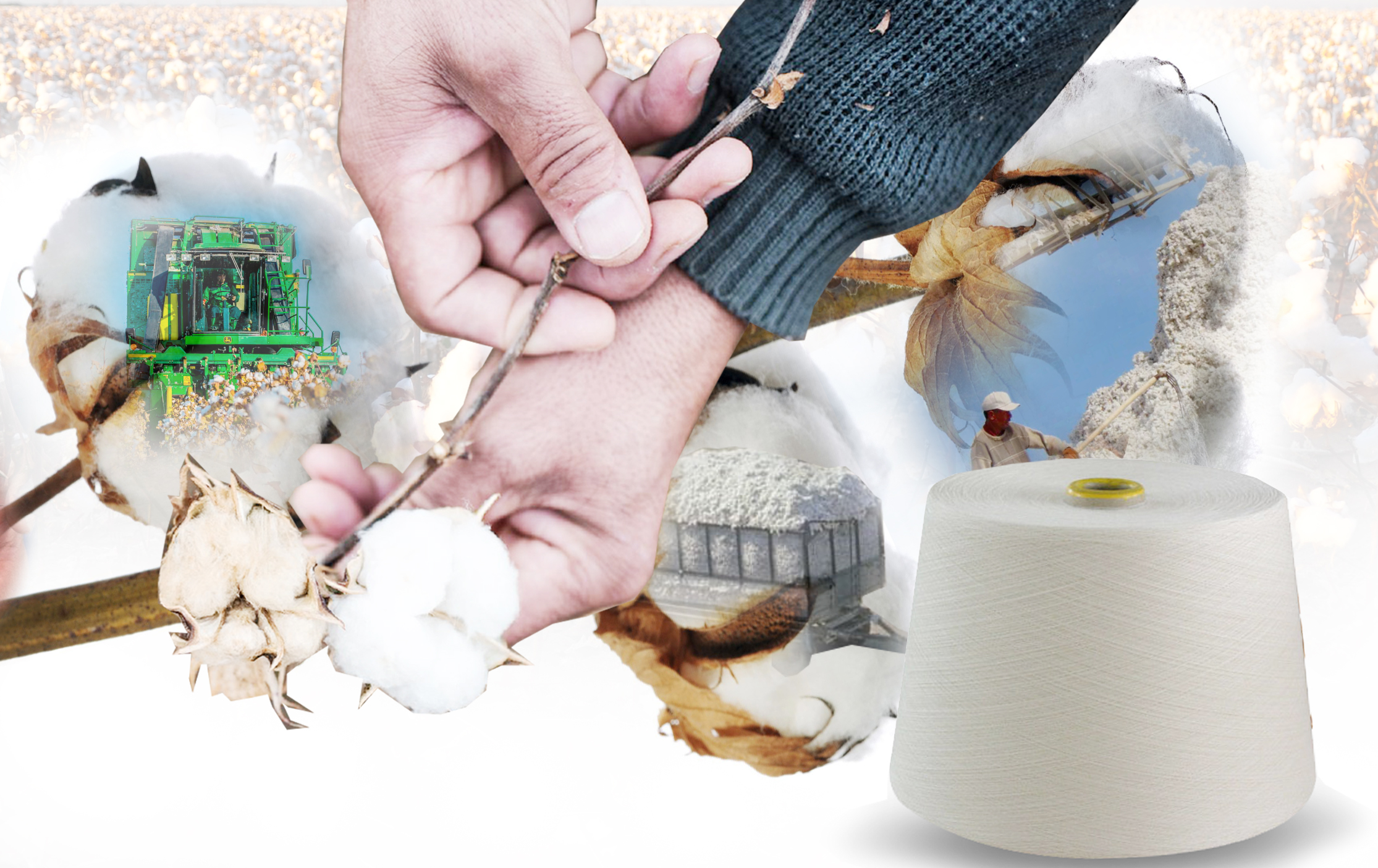 Maqtashylardyń muńy