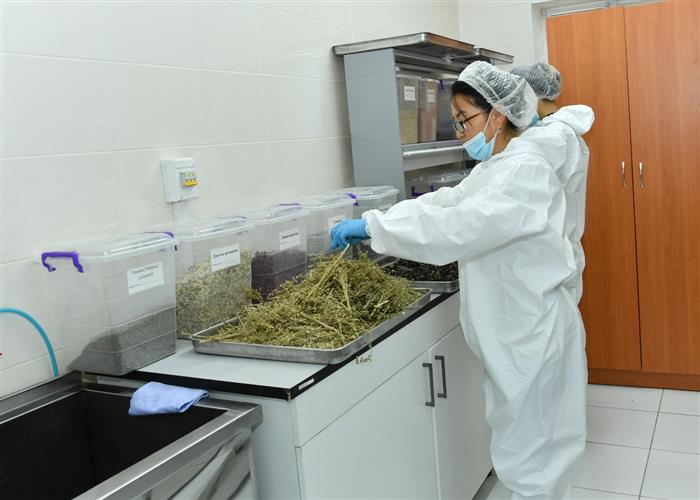 Zertteý jumystaryn AQSh-ta jalǵastyrady