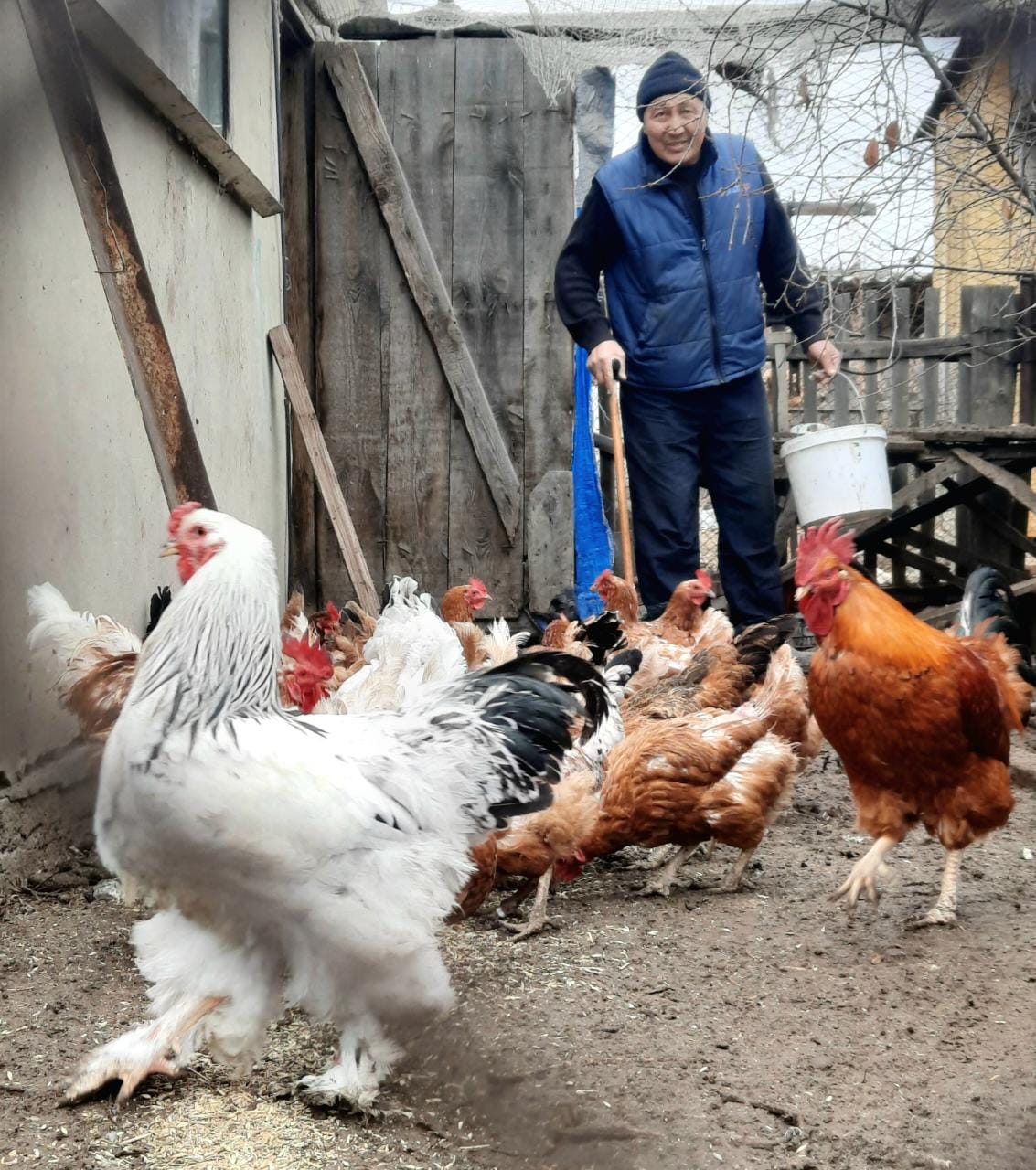 Taýyqtan tabys taýyp otyr