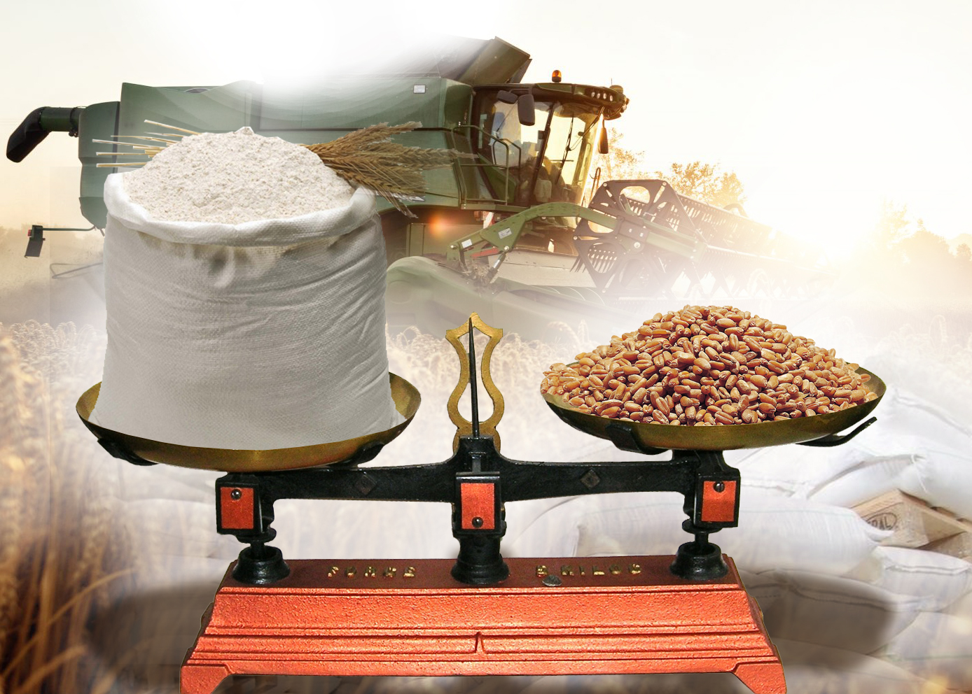 Bıdaı arzan, un qymbat...