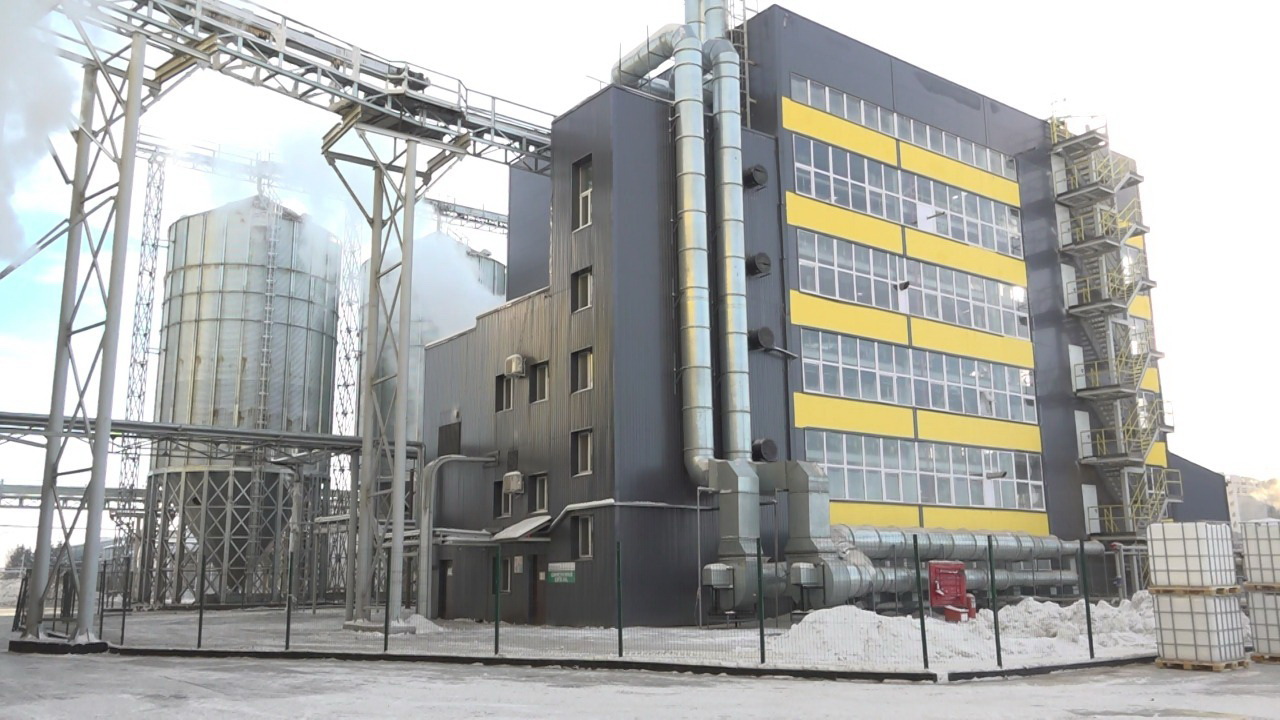 Semeı kúnbaǵys maıyn eksportqa shyǵarady