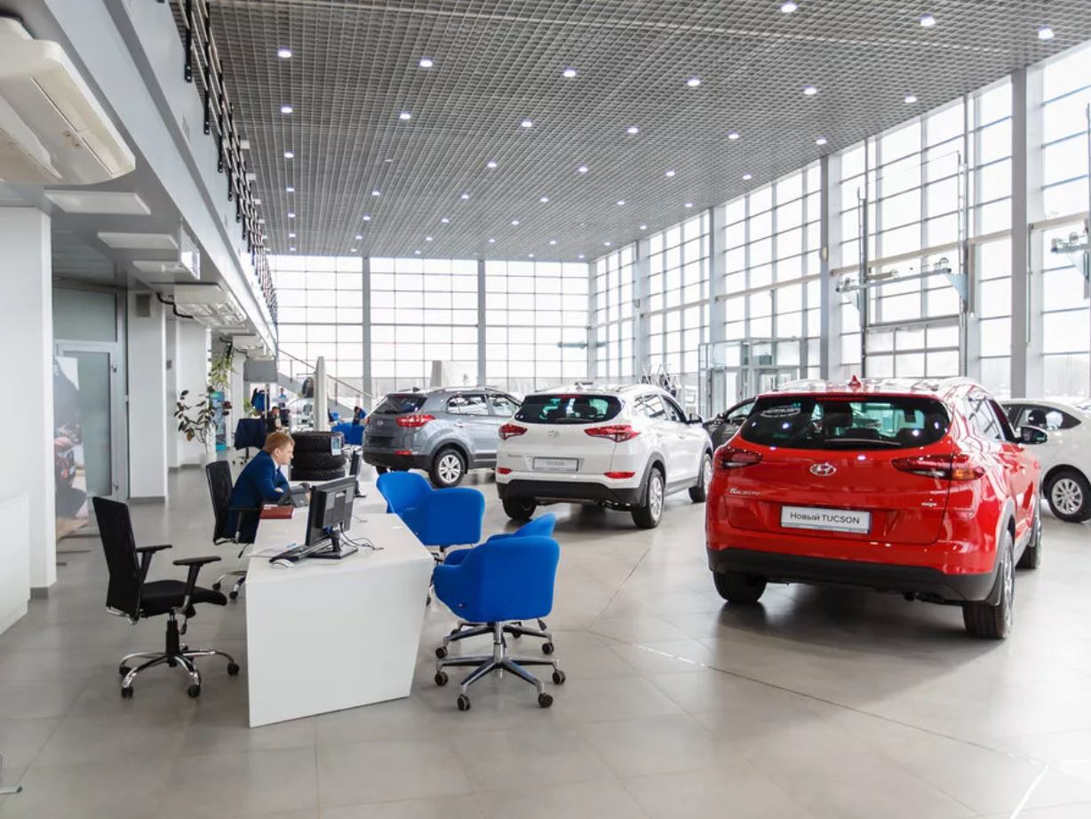 Avtonesıe qýanyshy