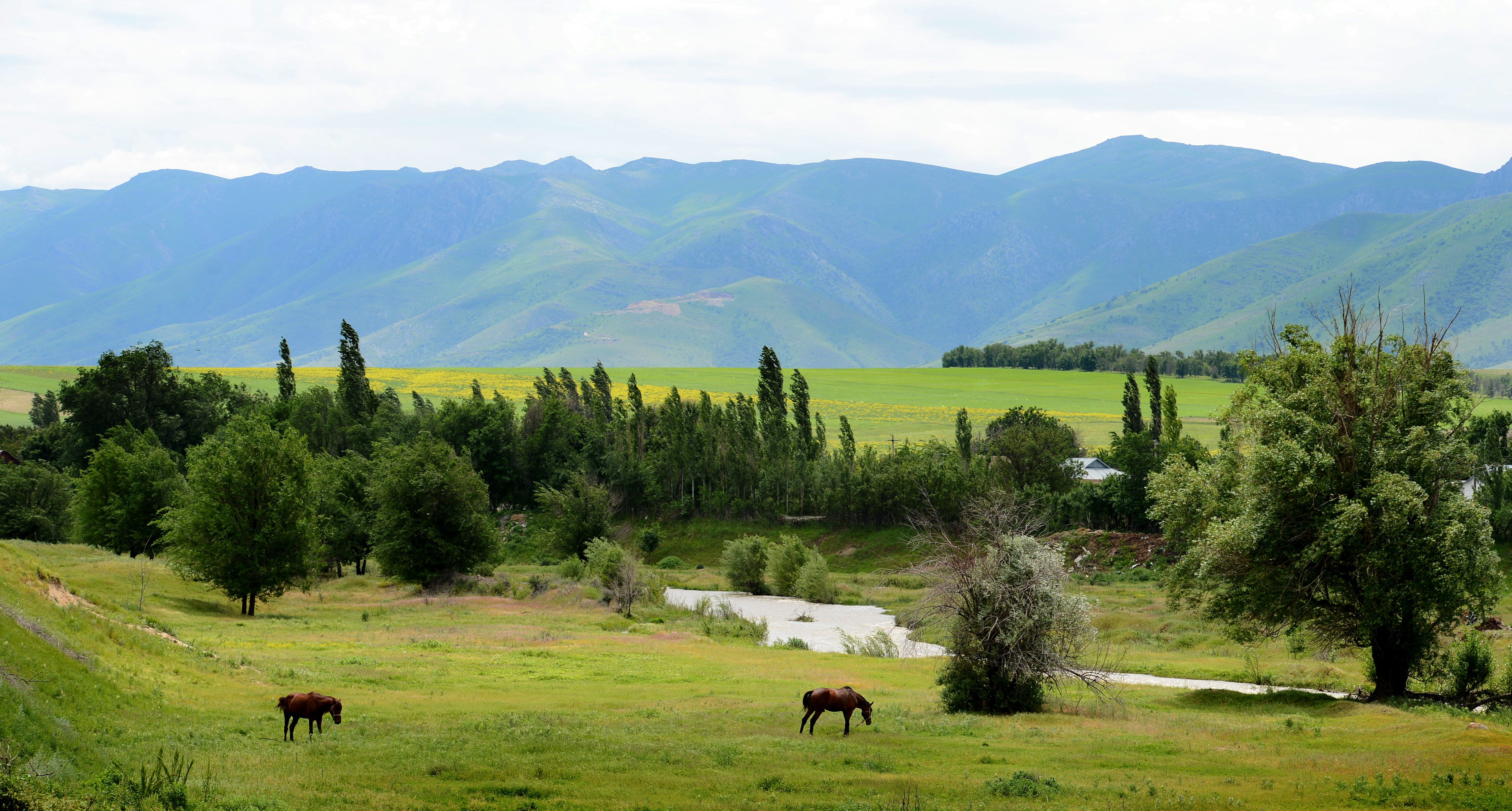 Baqýatty aýyl – bereke bastaýy