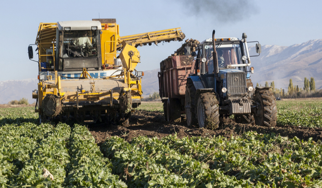 Qyzylsha alqaby eki ese ulǵaıady