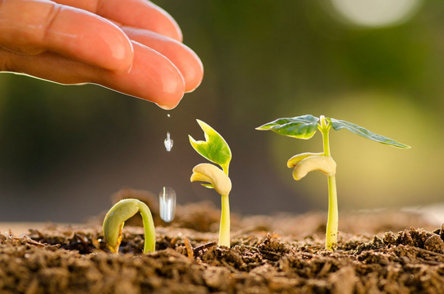 Daıyndyqtyń der shaǵy