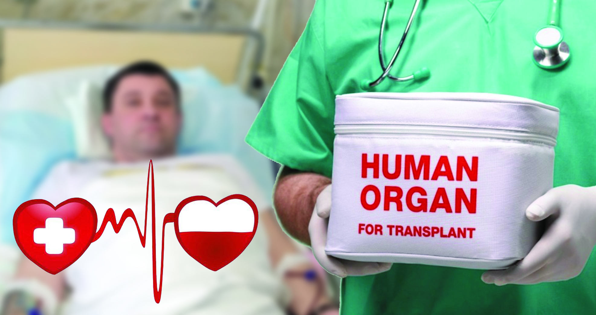 Kútý paraǵy – eki jylda donorlyq aǵzaǵa zárý 558 pasıent kóz jumdy