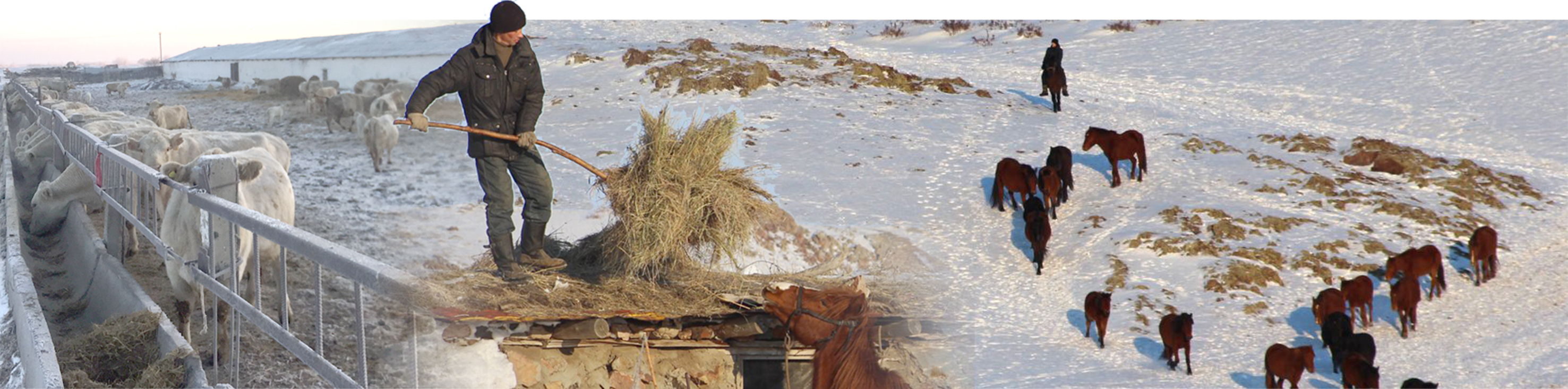 Aýyl atakásipsiz kórkeımeıdi