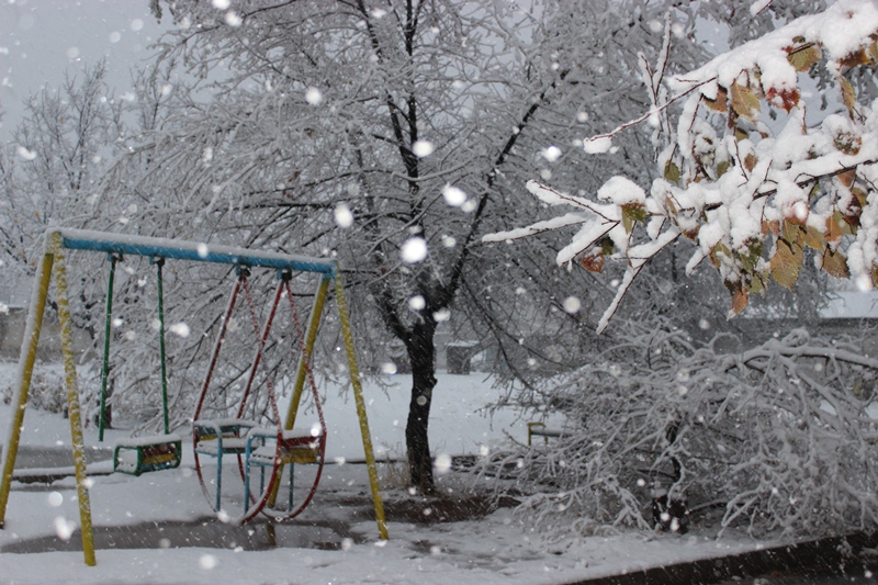 Tarazǵa tabıǵattyń tartýy