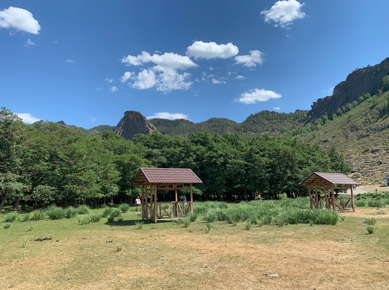 Toraıǵyrdaǵy qandyaǵash toǵaıy