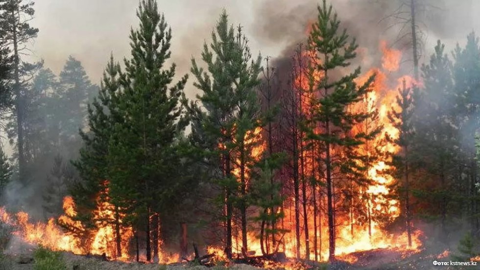 Alapat órt traktordan tutanǵan